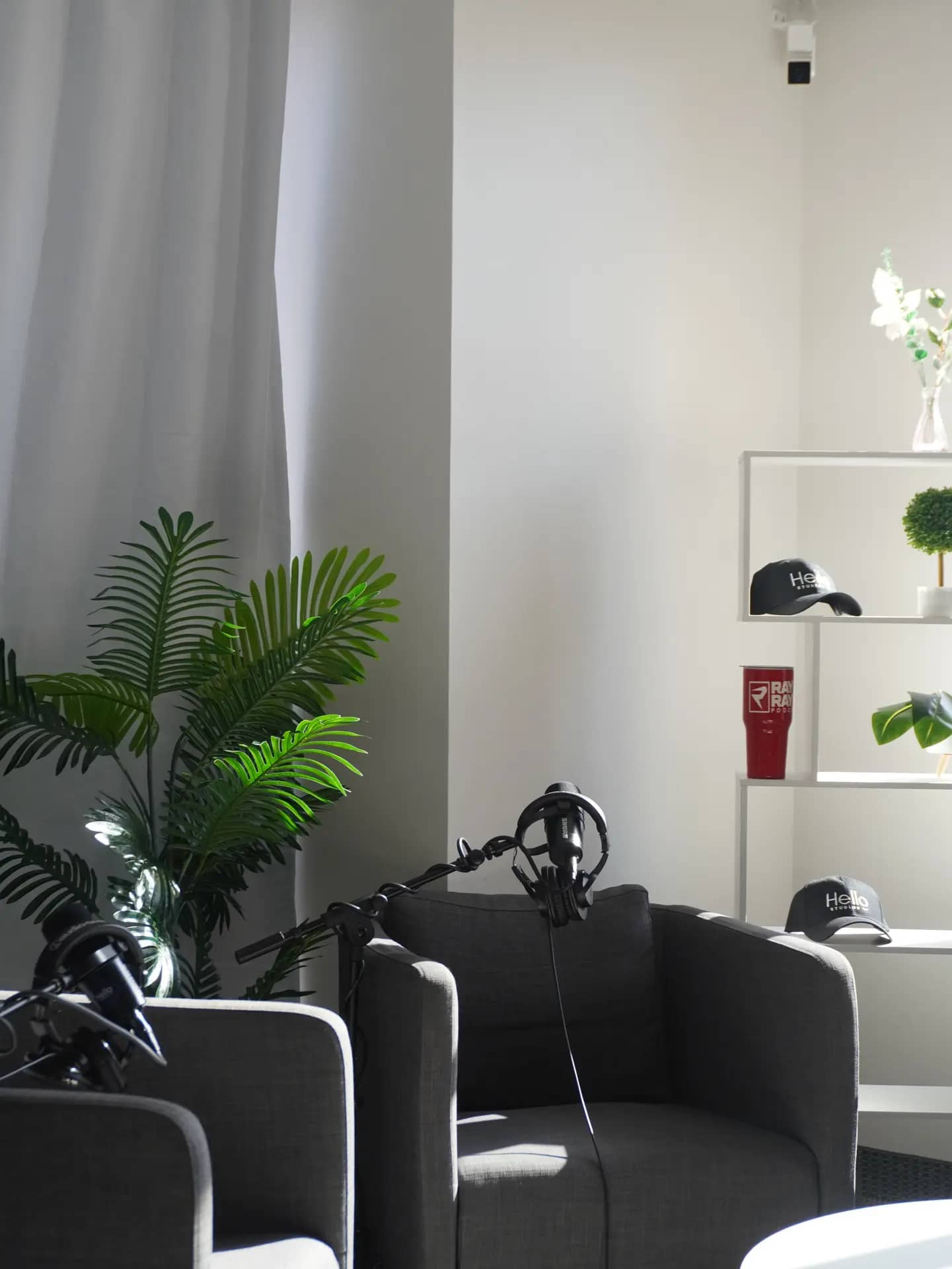 The Sapphire studio nook: gray tub chairs, a palm plant, white shelving, and soft daylight through sheer curtains.